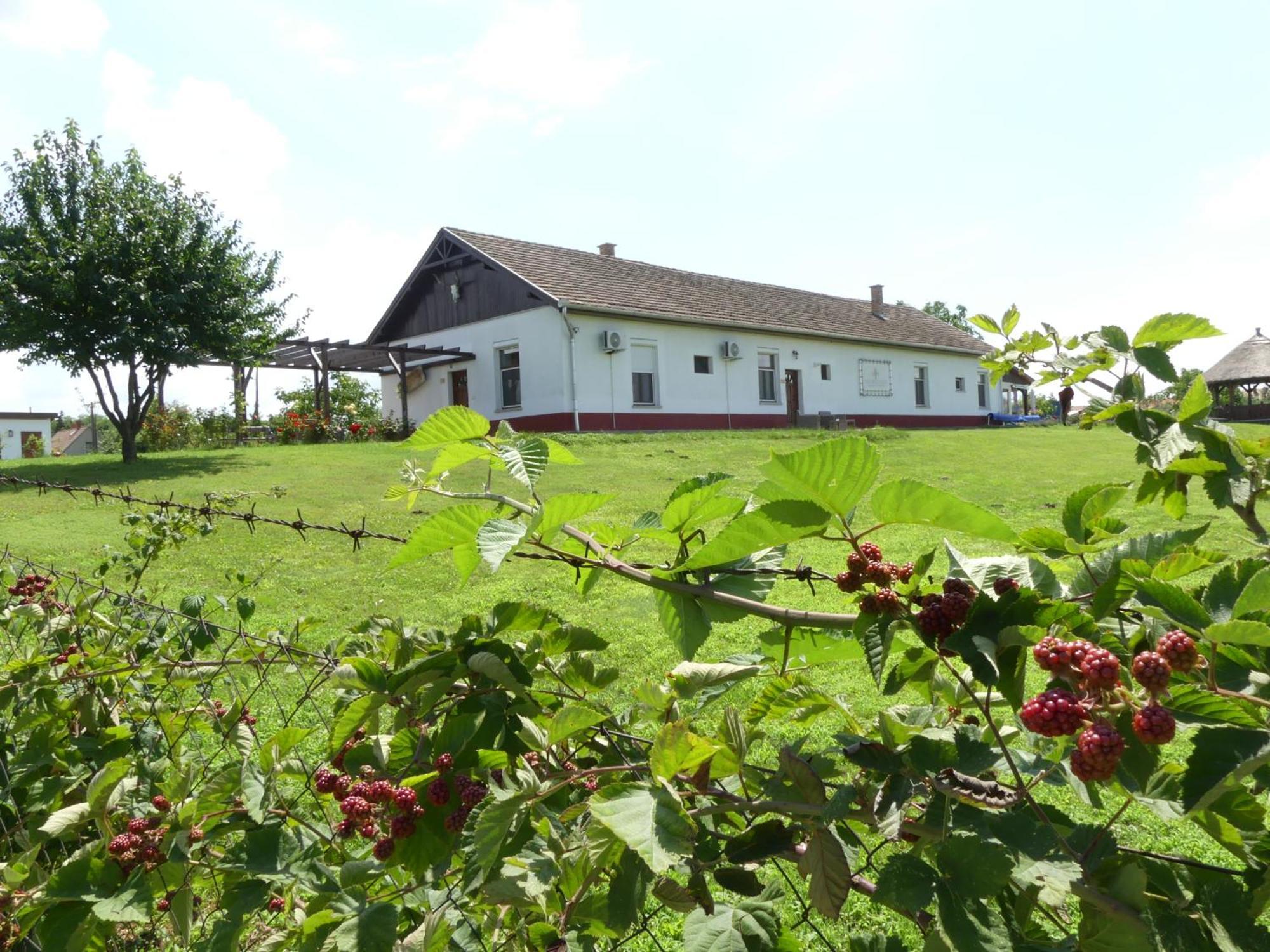 TiszaszolosTisza White House住宿加早餐旅馆 外观 照片